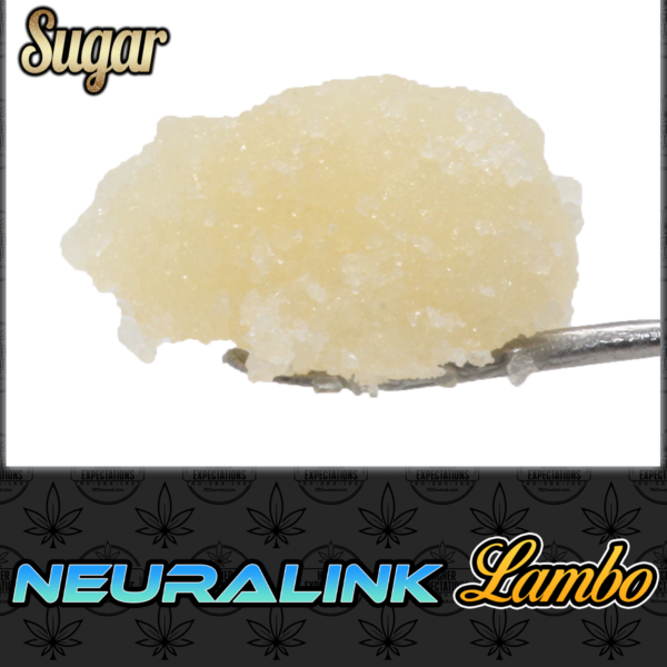 Nueralink Lambo Sugar