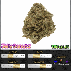 Jelly Donutz