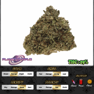 Planet Purple