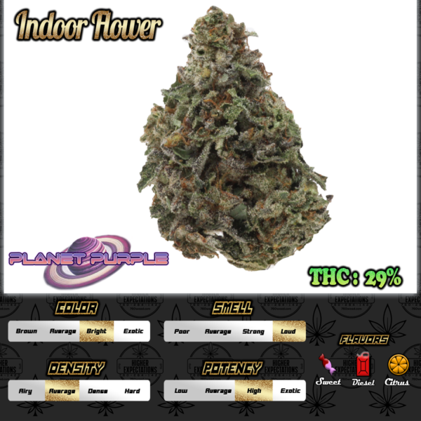 Planet Purple INDOOR