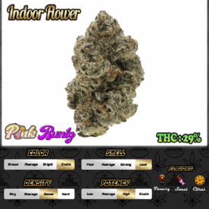 Pink Runtz INDOOR