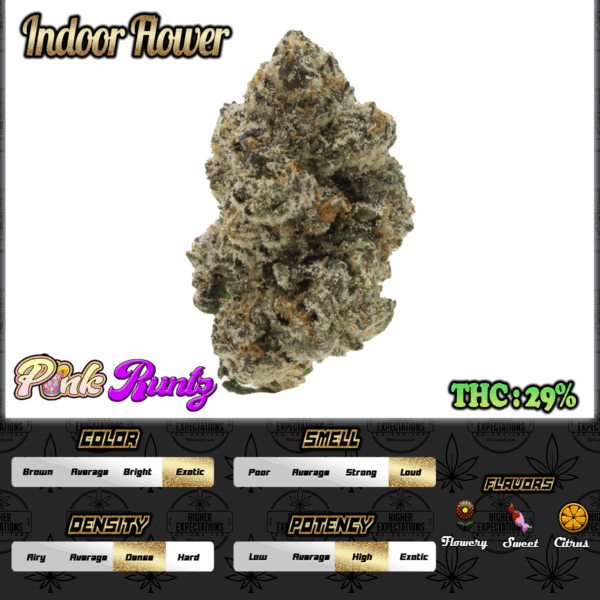 Pink Runtz INDOOR