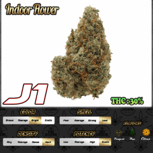 J1