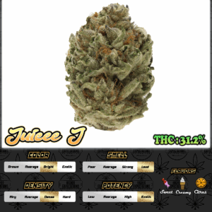 Juicee J