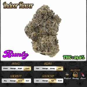 Runtz INDOOR