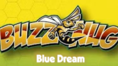 BuzzNug Blue Dream