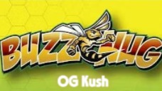 BuzzNug OG Kush