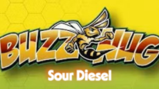 BuzzNug Sour Diesel